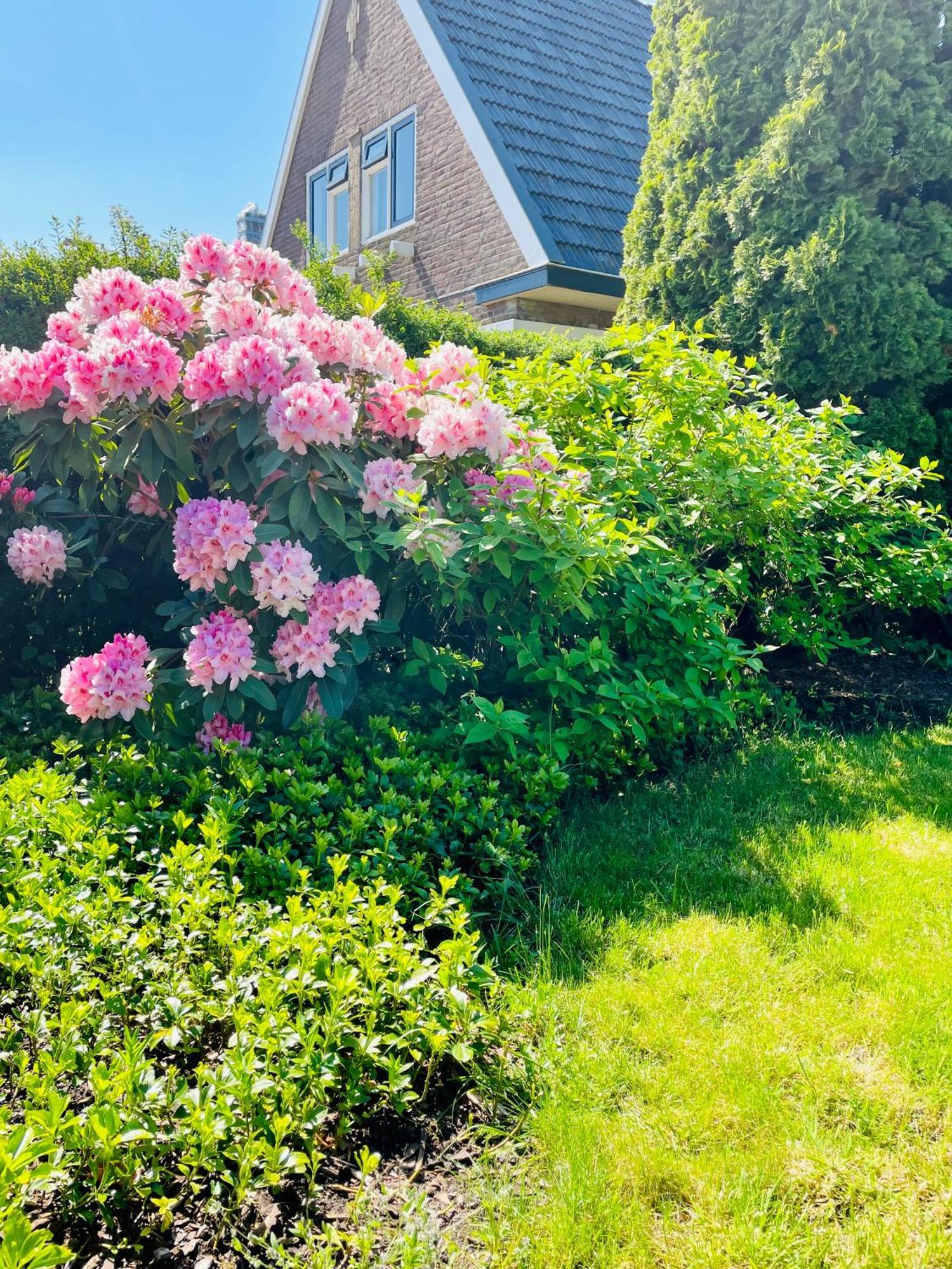 Herberg Het Rechthuis Rinsumageest 外观 照片